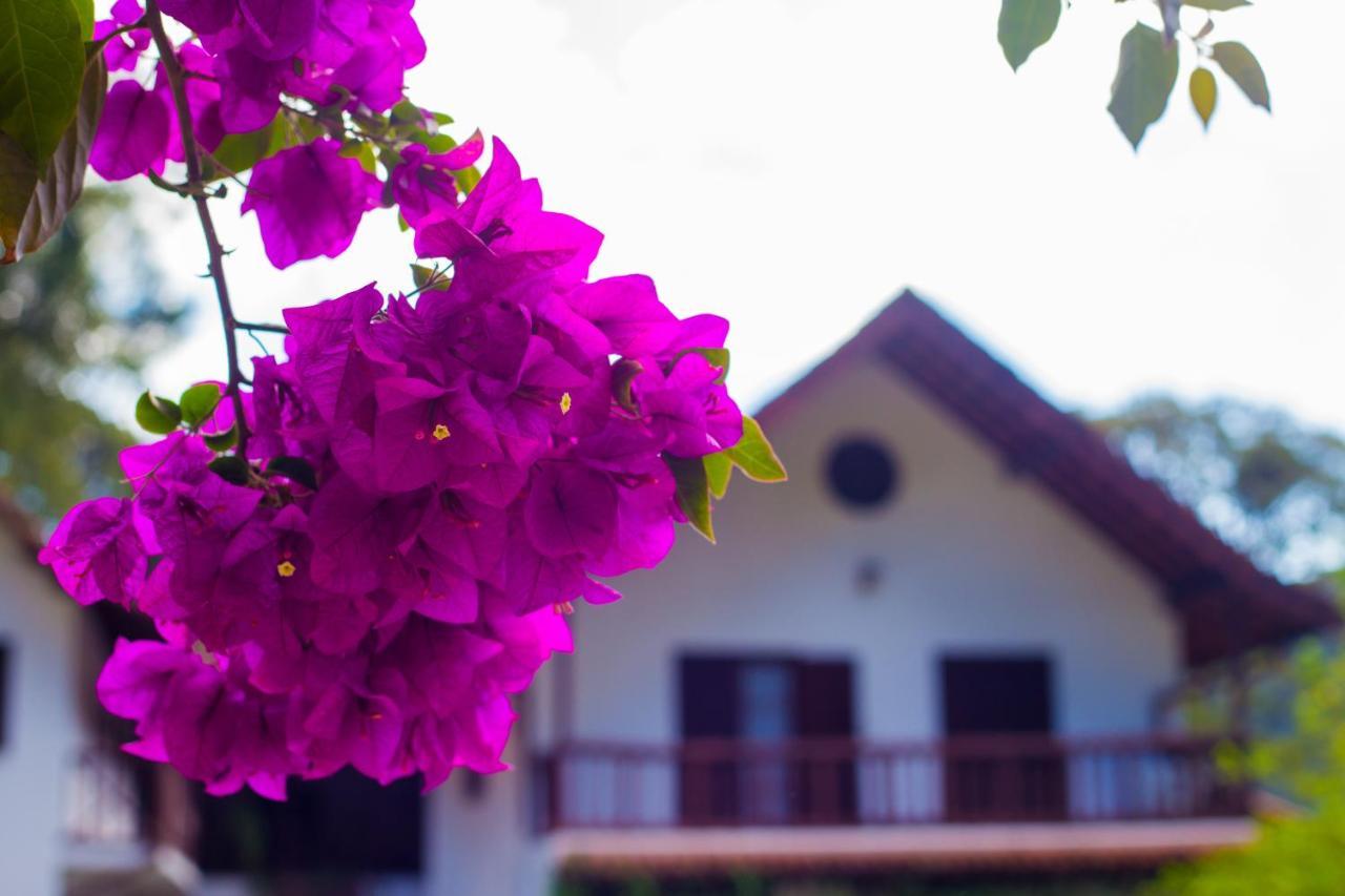 Pousada Taverna Do Golf Teresopolis Exterior photo